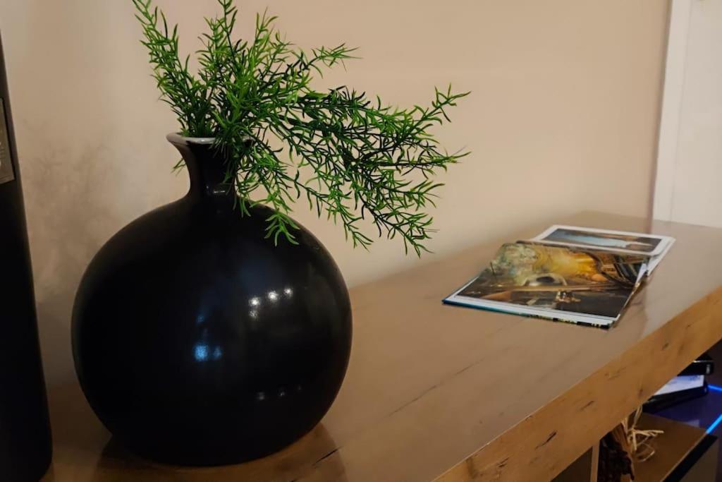 Casa Relax - 500 Mt. Dal Centro Apartment ตูริน ภายนอก รูปภาพ